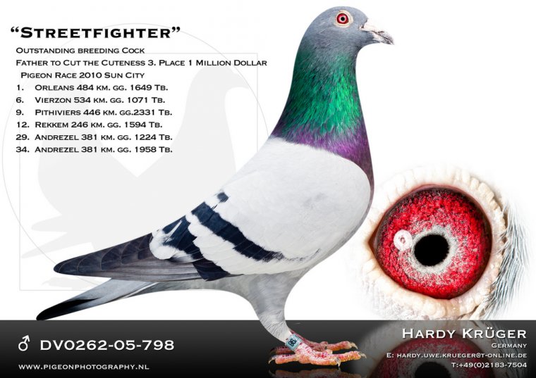 Predrag Konic Part 2