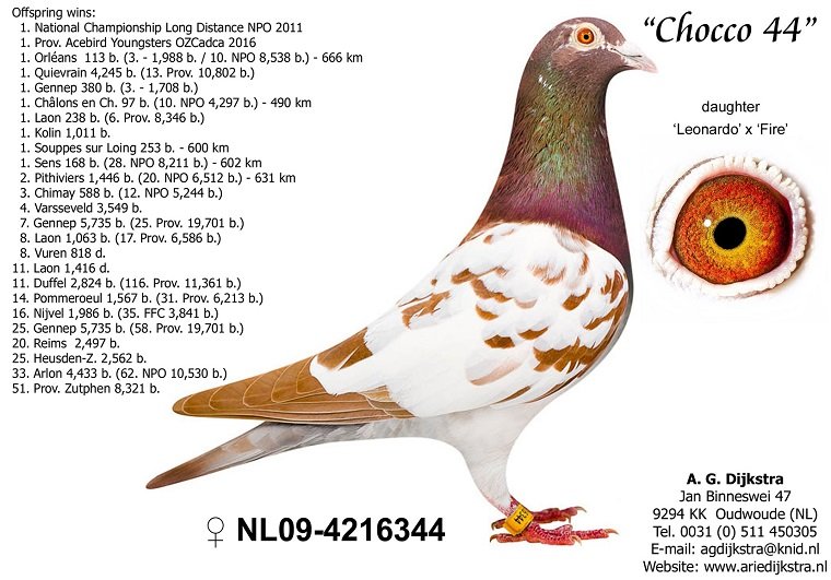 Predrag Konic Part 2