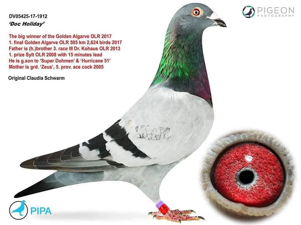 serhat-ozkaplan