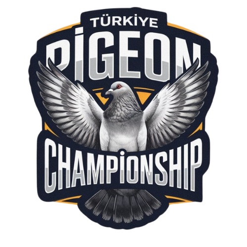championship-olr