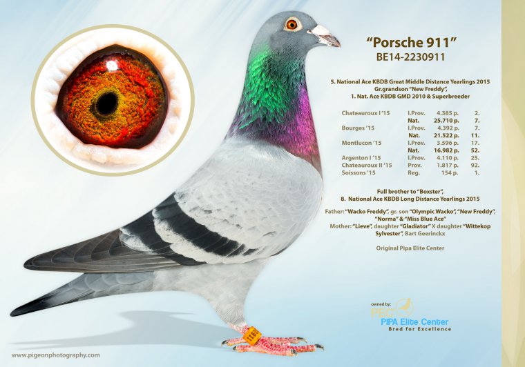 Predrag Konic Part 2