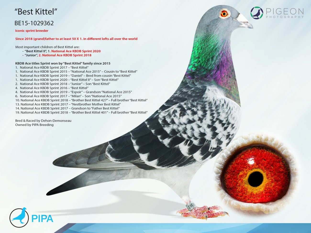 Predrag Konic Part 2