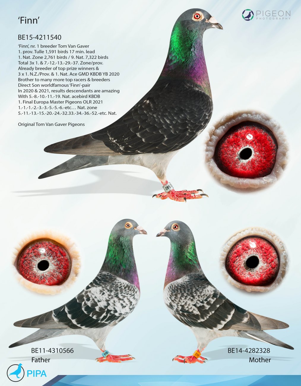 Predrag Konic Part 2