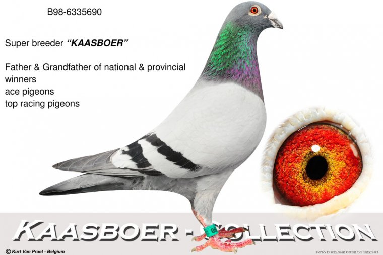Predrag Konic Part 2