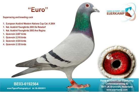 Predrag Konic Part 2