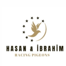 Predrag Konic Part 2