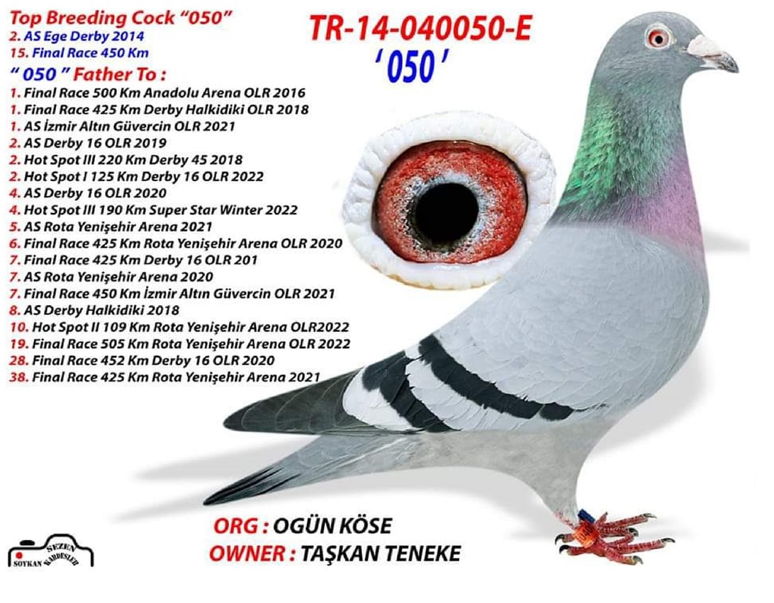 yakup-örnek