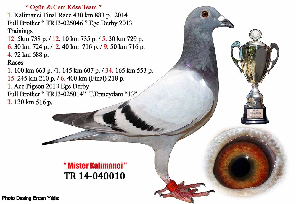 Predrag Konic Part 2