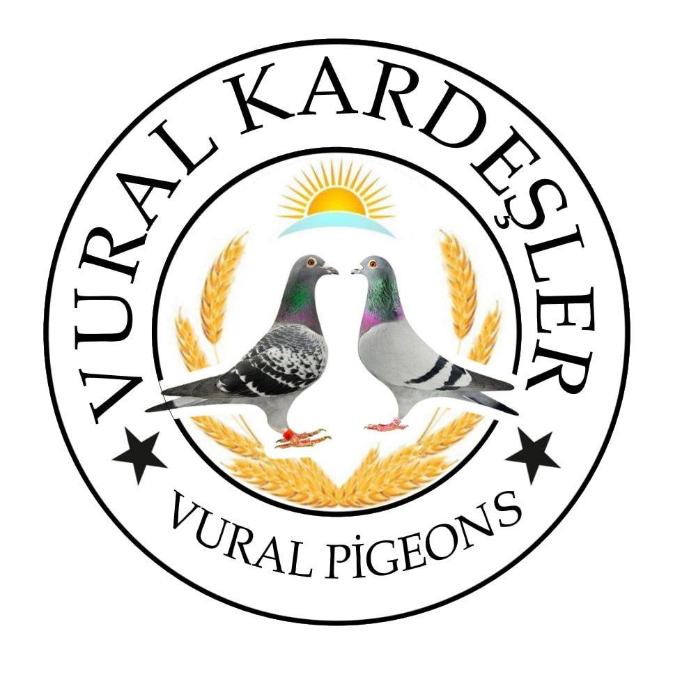 Predrag Konic Part 2