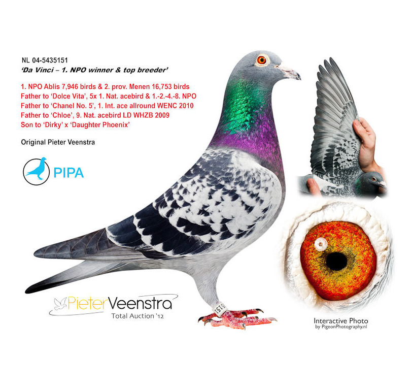 Predrag Konic Part 2