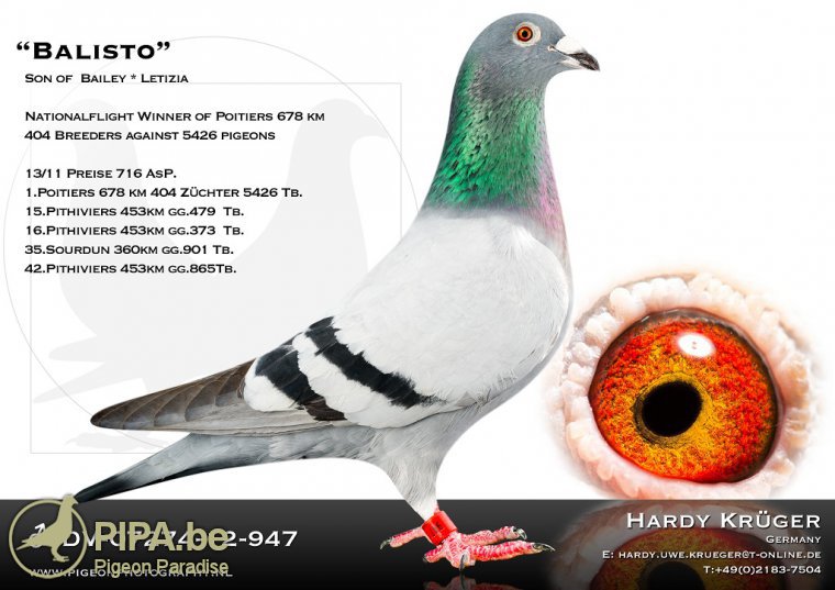 Predrag Konic Part 2