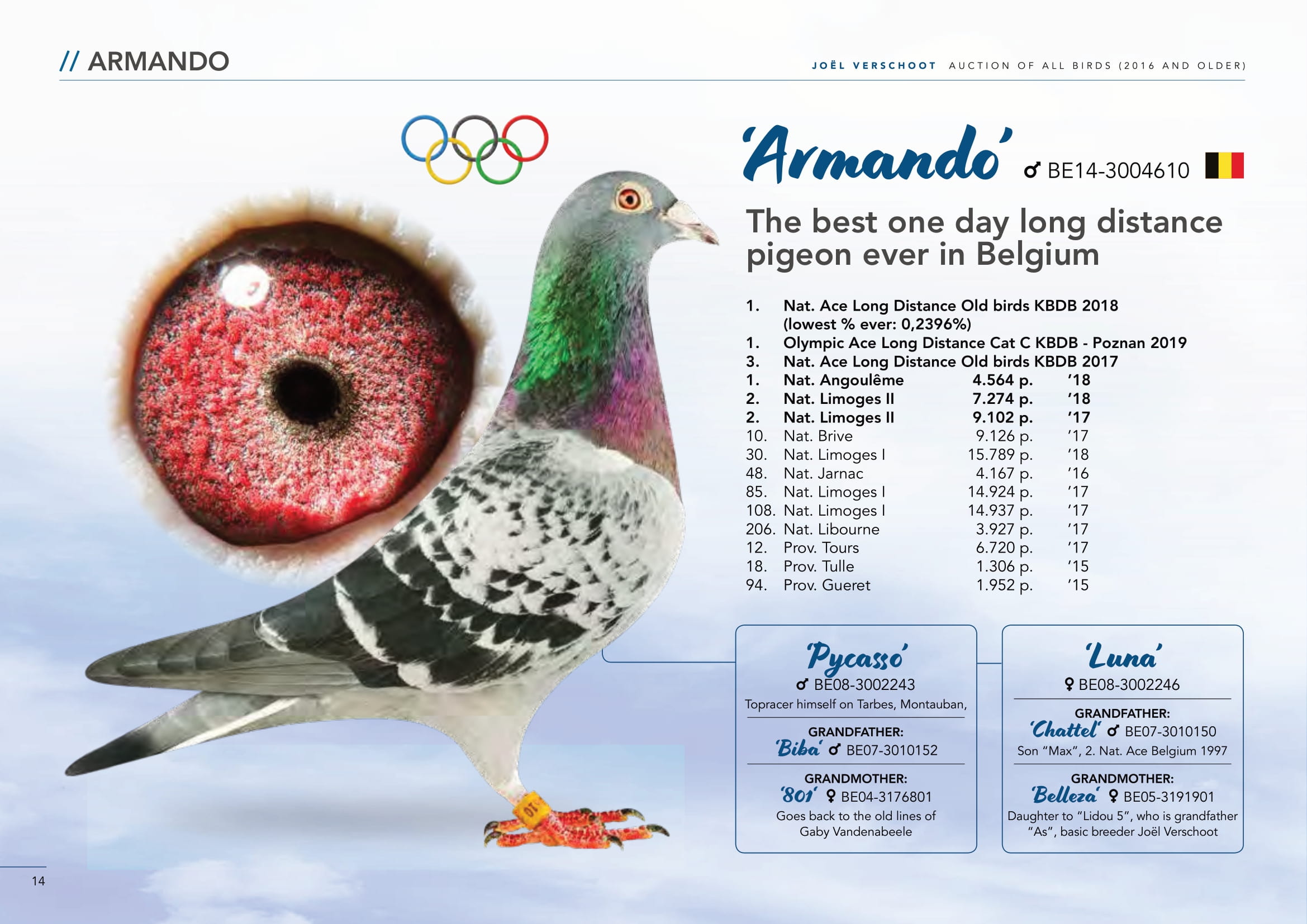 Predrag Konic Part 2