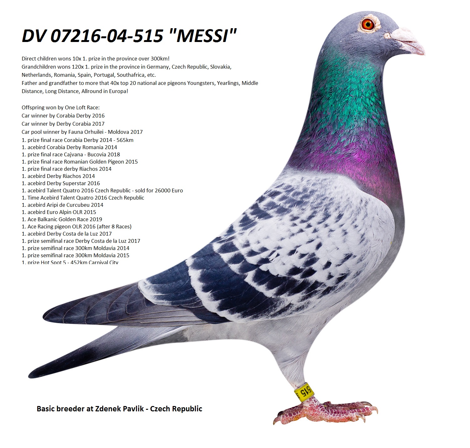 Predrag Konic Part 2