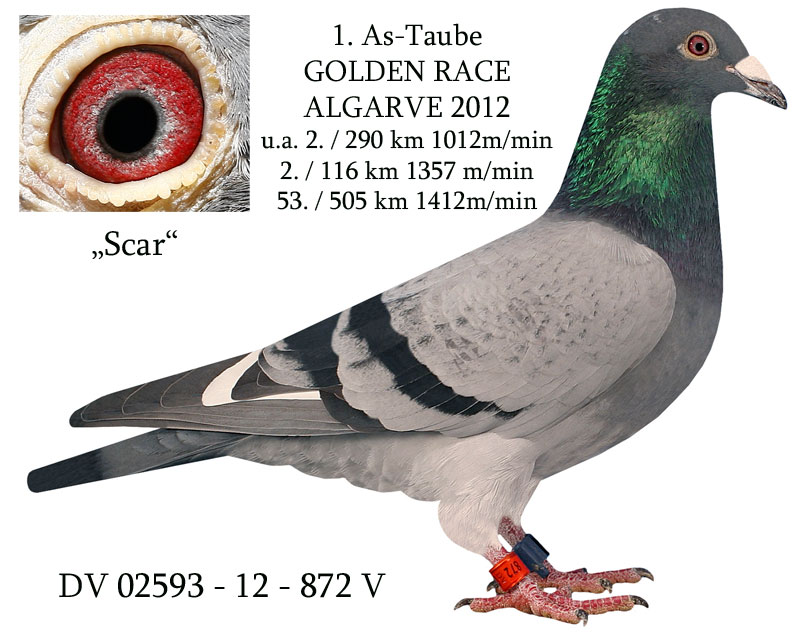 Predrag Konic Part 2