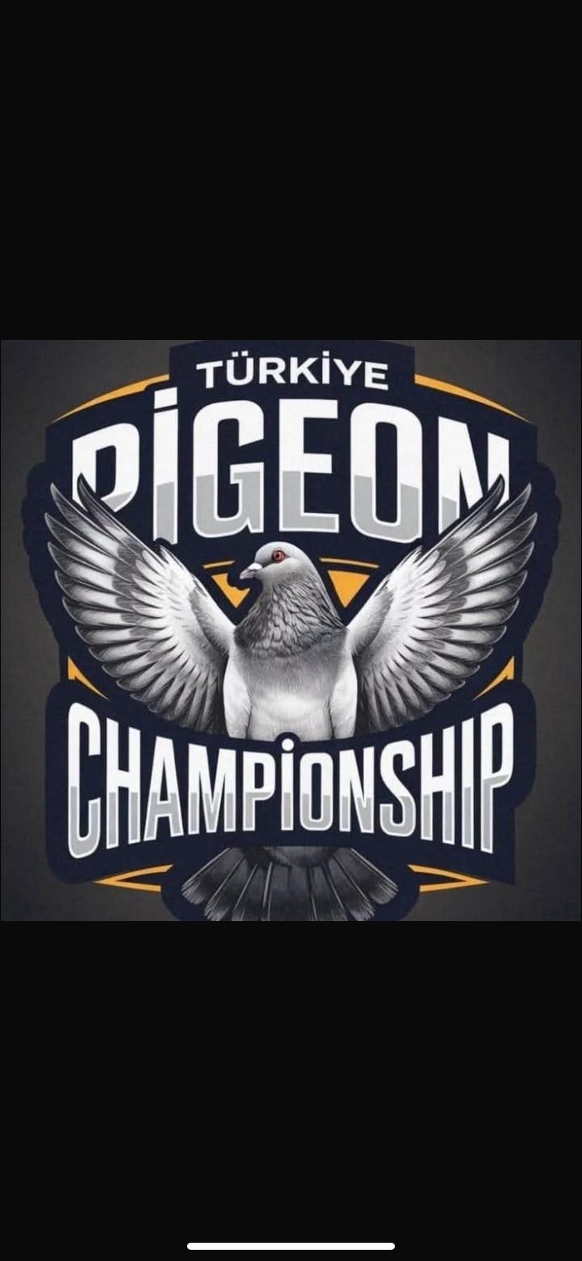championship-olras